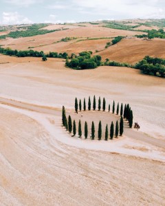  Cipressi San Quirico /public/Files/con001000/24/cipressi-san-quirico.jpg Cipressi