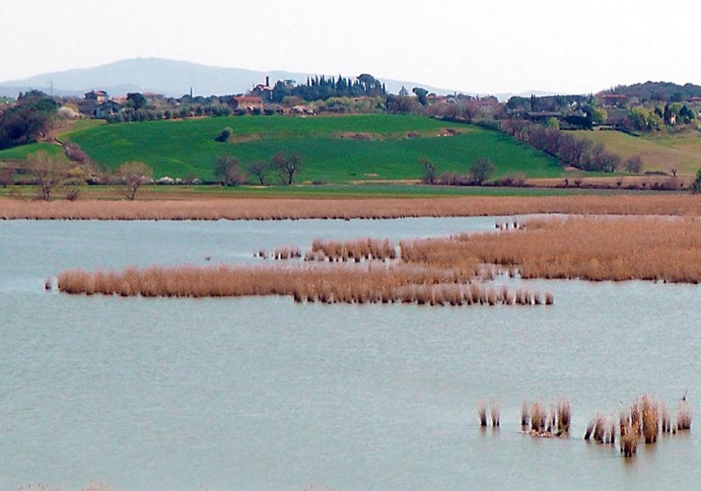 DA CHIUSI AD AREZZO Il Sentiero della Bonifica sarteano siena